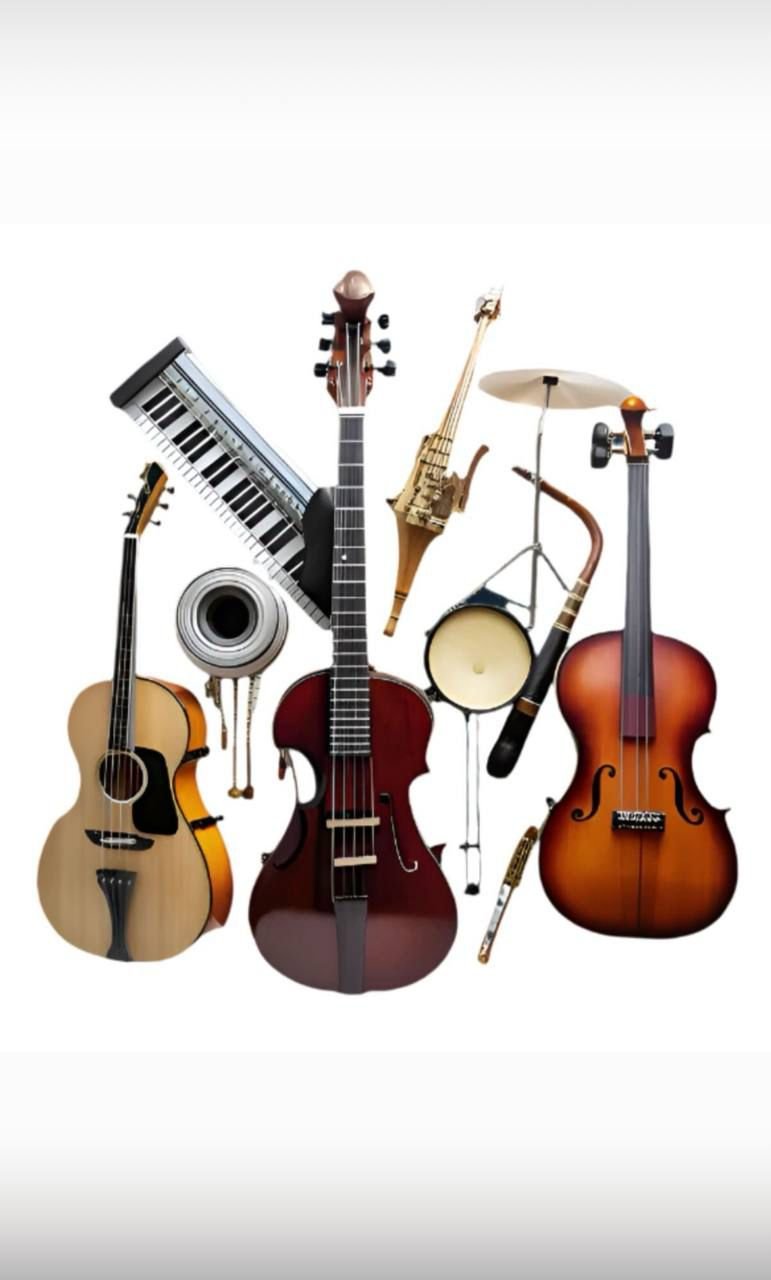 Musical Instrument Collection